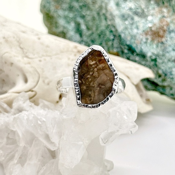 RARE Blue Forest Petrified Wood Solid Sterling Silver Ring - Picture 1 of 4